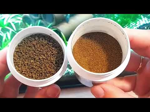 Aqua-Tropica Garnelenfutter - VITAL Serie Haupt und aufzuchtfutter für Zwerggarnelen