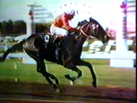 The Canadian Derby Story (1982)