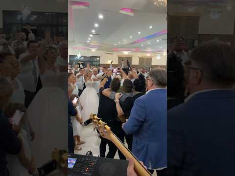 Halid Bešlić na svadbi u Brčkom!