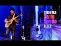 Chris Rea - Santo Spirito Blues (Album Medley ...