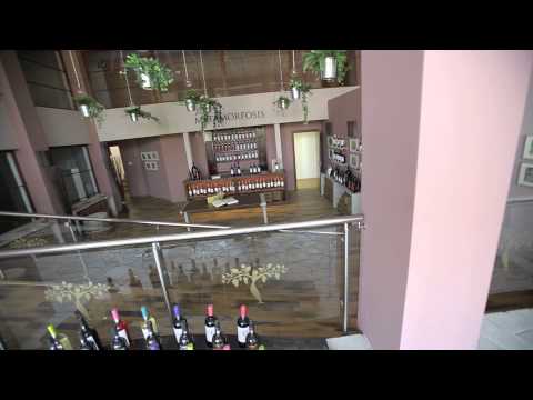 Noua Cramă Viile Metamorfosis