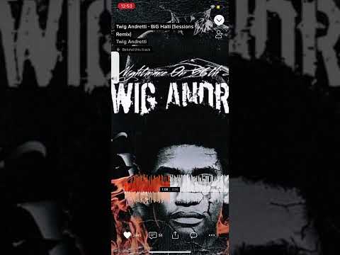 Twig Andretti - BiG Haiti