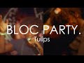 Bloc Party "Tulips" (Music Video + Lyrics)