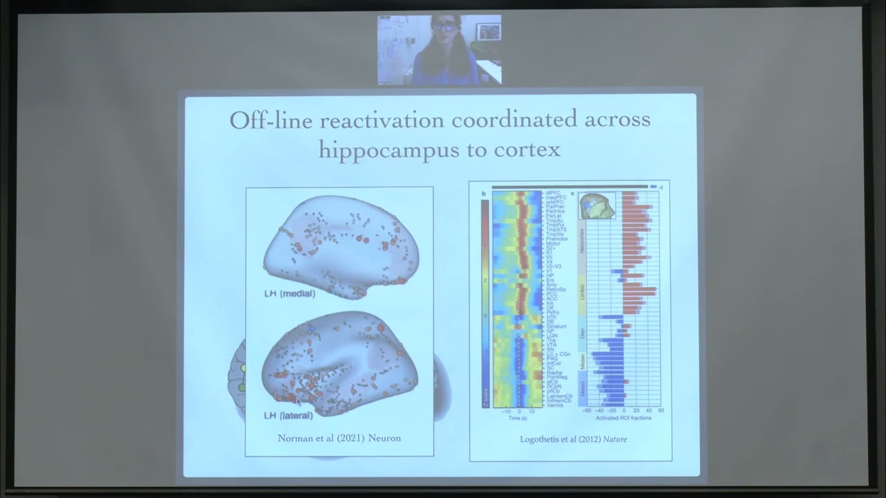 Lila Davachi – The life of a memory