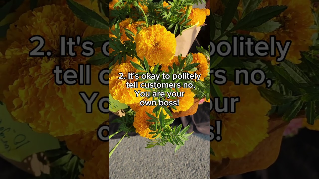 Starting a flower farm isn’t as easy as Instagram makes it look. These are 3 things nobody told me