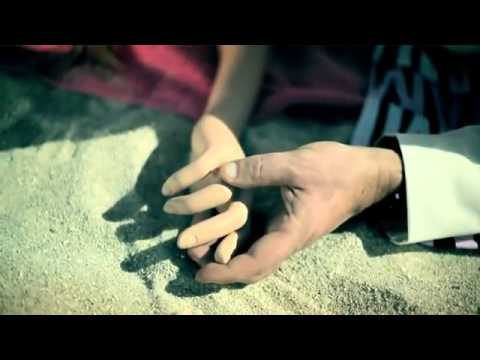 Peter Luts   Everyday OFFICIAL VIDEO   YouTube