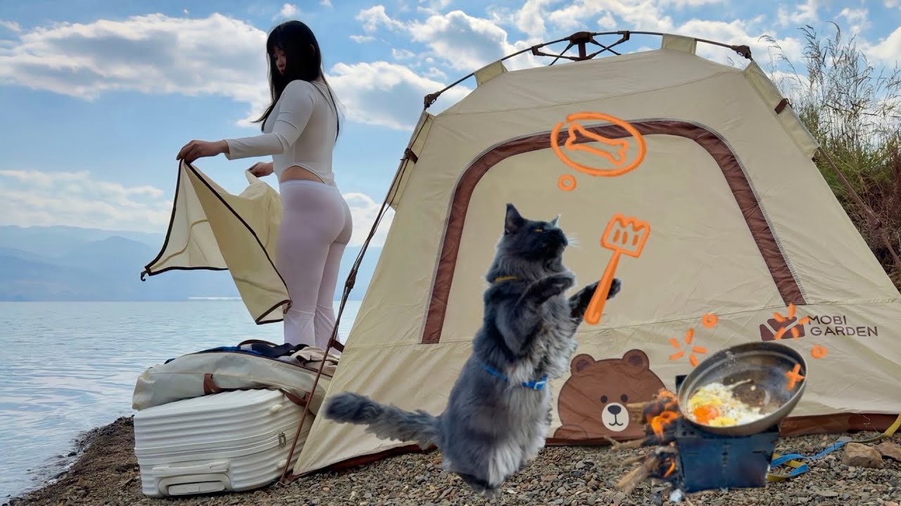 After Work Lakeside Camping | Office Lady Escape with Maine Coon Cat | 4K ASMR Slow Living 癒しの時間