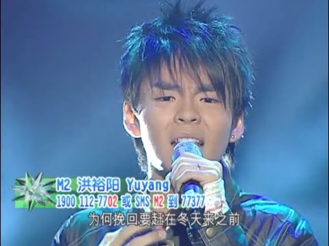 Yuyuang 洪裕阳 - 枫