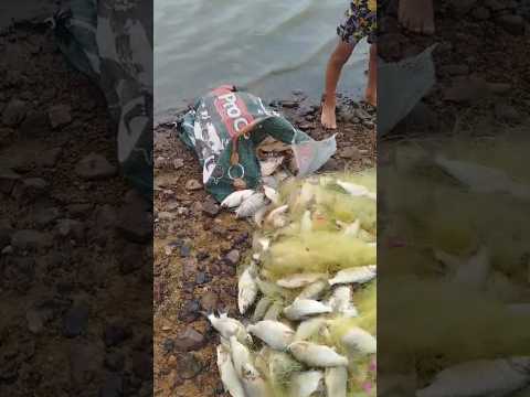 fartura no interior de amontada Ceará #shots