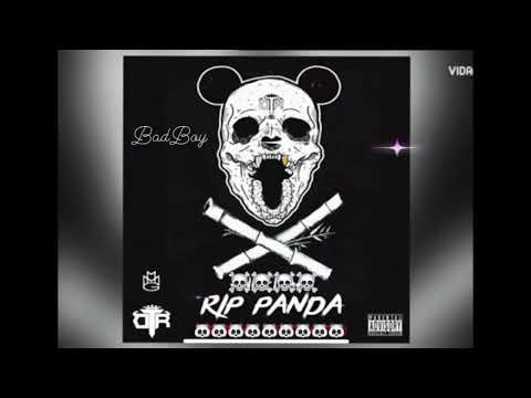 Bad Boy - RIP PANDA 🐼 feat.La E,RM,Cheko Flow [Official Audio]