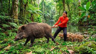 Mother Pig Escapes Into the Forest to Give Birth, I Saved the Whole Litter | Farm Care