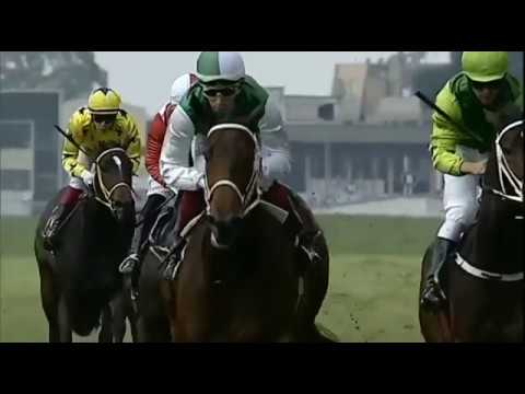 2019-04-13 Turffontein race 1