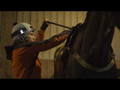 2017 NZ Derby preview: Jon Snow and Camino Rocoso