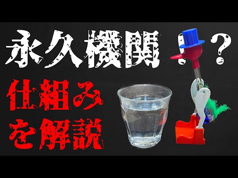 ブルインコについて詳しく解説