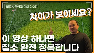 질소비료 논란 종결! 그 누구도 반박할 수 없는 질소 정복편 | 비료사관학교 2-2편 | 농사 100단