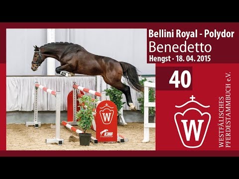 40 Benedetto Hengst v. Bellini Royal - Polydor