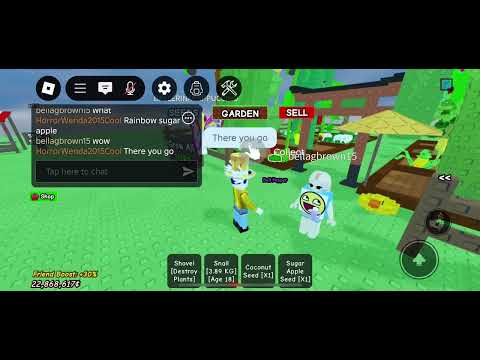 Giving this rainbow sugar apple to my cousin