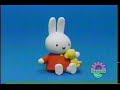 Teddy Bear S Song Miffy And Friends Noggin Miffy Song