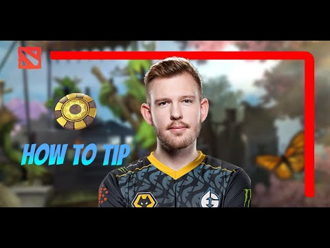 Karma's Going to Bite Nouns - Cr1t | DPC Summer Tour