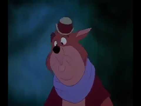 Banjo the woodpile cat