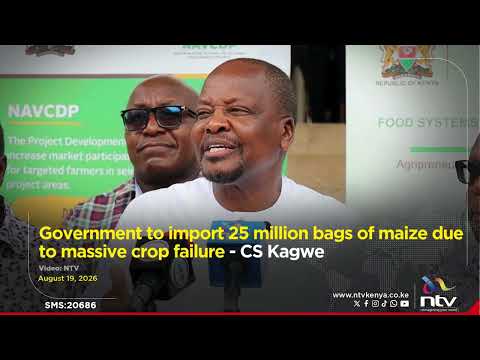 CS Kagwe: Government to import 25 million bags of maize due to massive crop failure