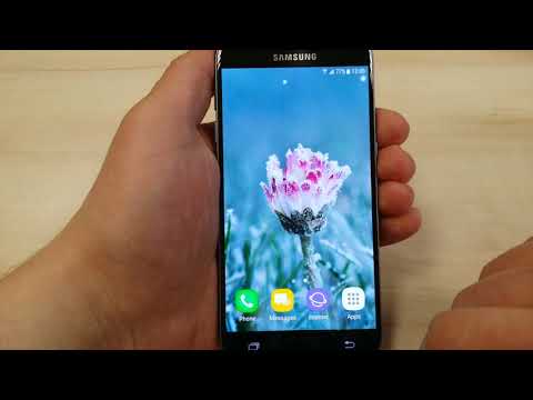 Winter and Autumn Flowers Live Video