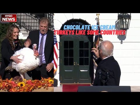 Biden pardoned Turkey Chocolate ice cream, turkeys are 'like some of the countries', only 'red wave'