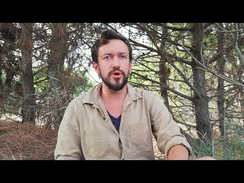 Due stili di canto difonico (khöömei): sygyt e kargyraa