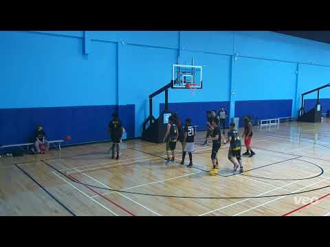 Wings (49) Tier 8- 2023 SUMMER Mythic (48) - tcbl saturday