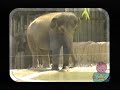 Let S Go To The Zoo Demo Version Part 26