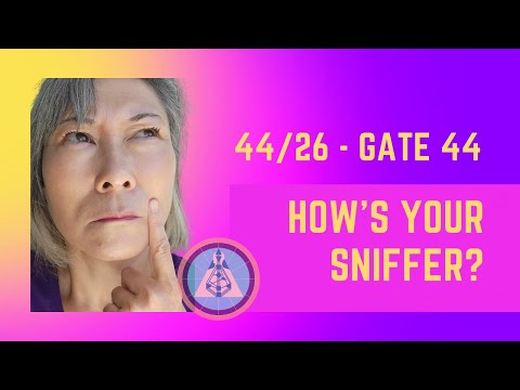Human Design 44/26 Channel and Gate 44 - Attributes and Characteristics (Personal Examples)