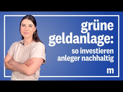 Nachhaltige ETFs: Das sollten Anleger über Greenwashing in der Geldanlage wissen | manager magazin