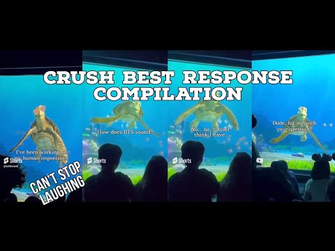 CRUSH BEST RESPONSE COMPILATION |Turtle talk with crush 😂