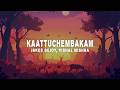 Jakes Bejoy Kaattuchembakam Lyrics Ft Vishal Mishra Aavani Malhar