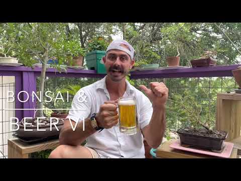Bonsai & Beer VI: Lone Star & Dwarf Gardenia!