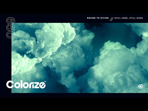 Bound to Divide - Still Here, Still Gone