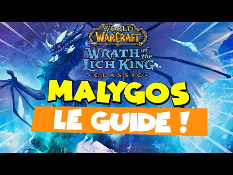 WOTLK Classic - Guide Malygos FR