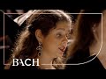 Bach - Motet Jesu, meine Freude BWV 227 - Prégardien | Netherlands Bach Society