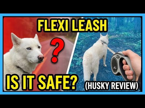 Flexi Retractable Leash: Is It Safe? (Husky Review)