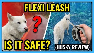 Flexi Retractable Leash: Is It Safe? (Husky Review)