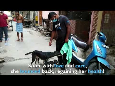 Puffy Recovers From Severe Pain and Discomfort!