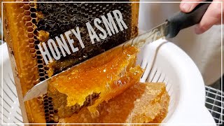 ASMR HONEY - Cutting Honeycomb