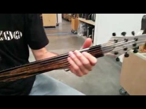 Kiesel Guitars fretless
