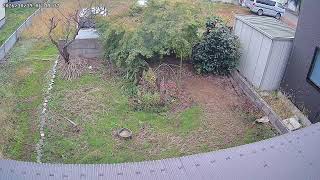 山形県鶴岡市白山興野ライブカメラ live webcam