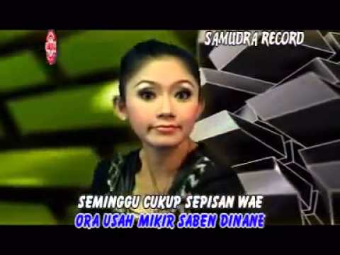 download lagu mp3 mp4 Lagu Dangdut Wedus Gembel, download lagu Lagu Dangdut Wedus Gembel gratis, unduh video klip Lagu Dangdut Wedus Gembel
