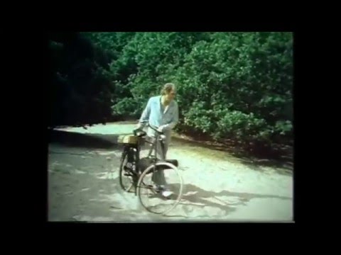 Herman van Veen - Opzij (1979)