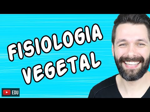 FISIOLOGIA VEGETAL - BOTÂNICA | Biologia com Samuel Cunha