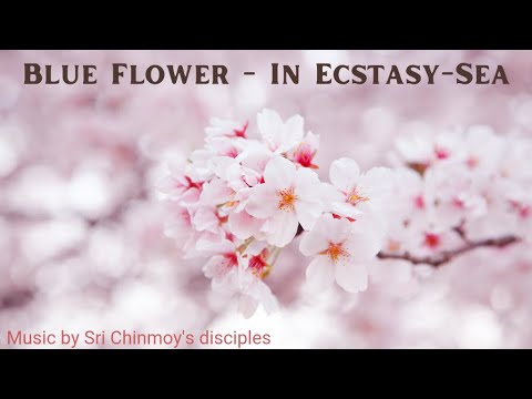 Blue Flower - In Ecstasy-Sea | Sri Chinmoy | Spiritual music | Meditation music
