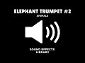 Elephant Trumpet 2 Sound Effect Download Link