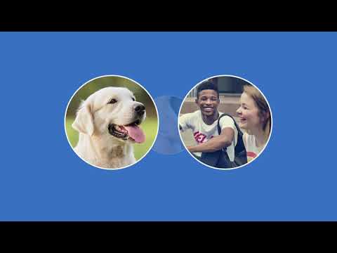 Tierzelle – Aufbau und Struktur einfach erklärt | sofatutor